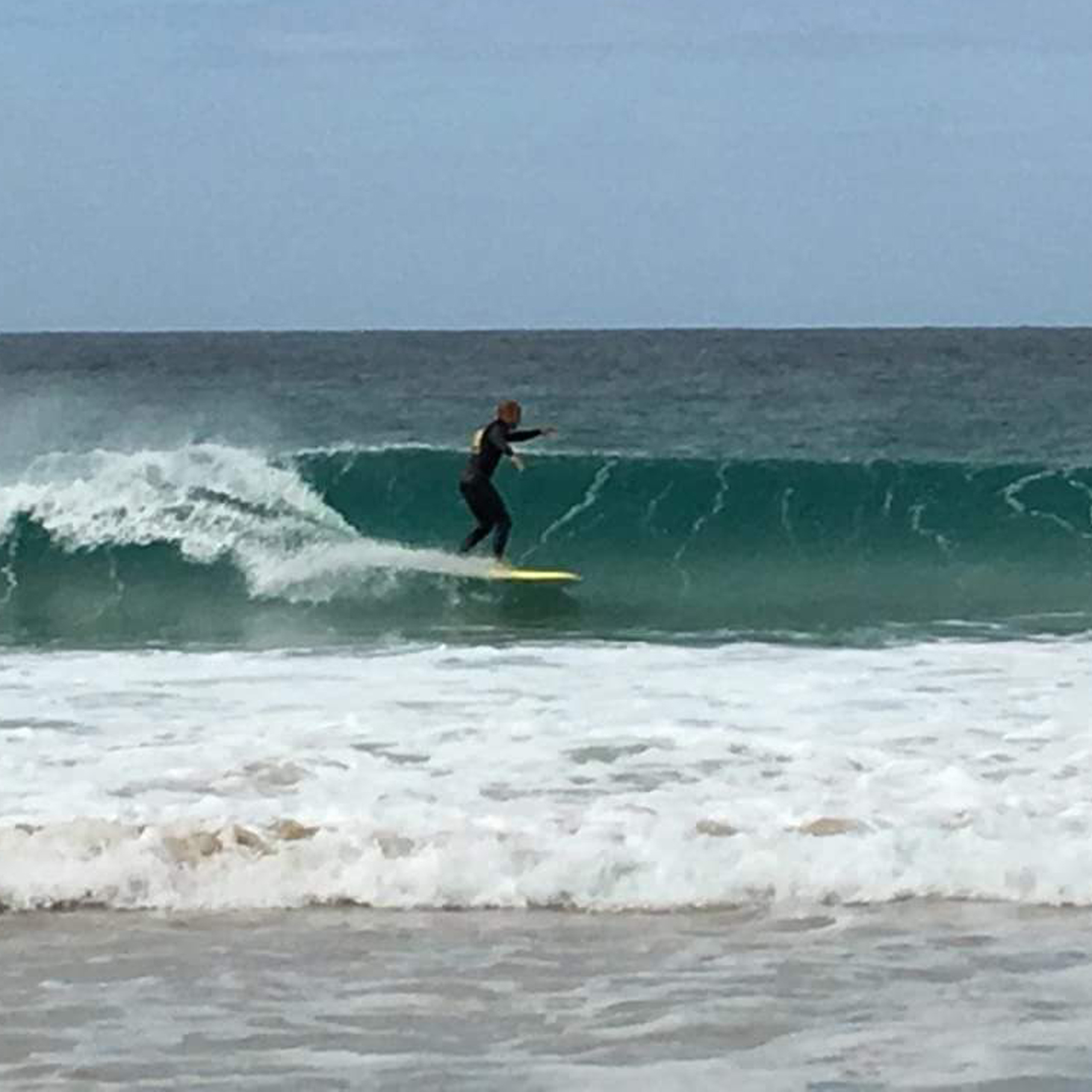 surfaris